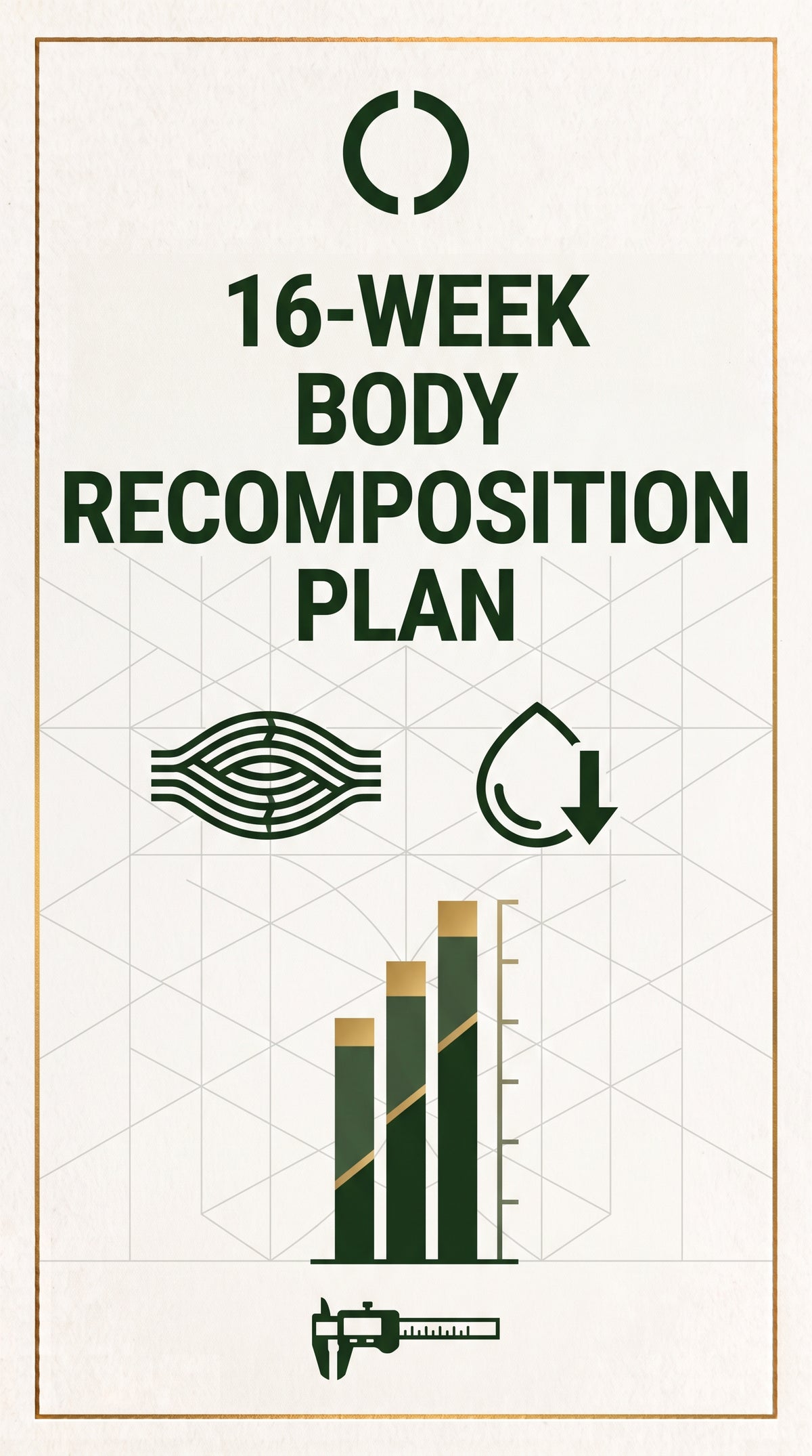 16-Week Body Recomposition Plan